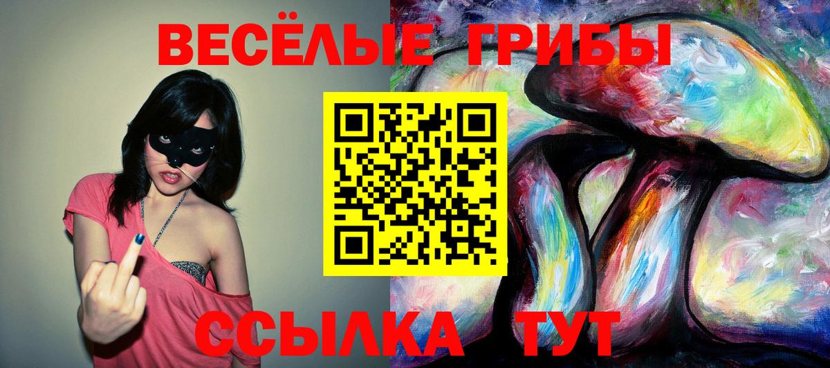 Галлюциногенные грибы GOLDEN TEACHER  Галлюциногенные грибы Psilocybine cubensis  Ковров  Вход с VPN 